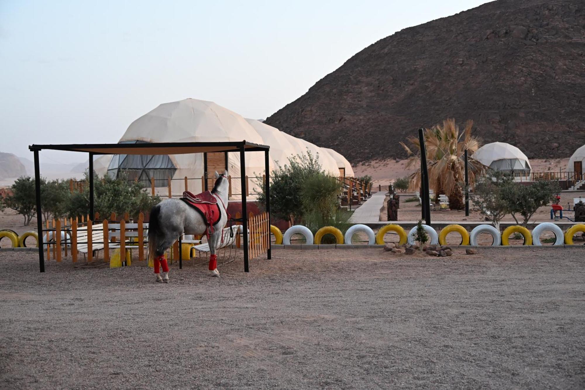 Bilal Luxury Camp 호텔 와디럼 외부 사진